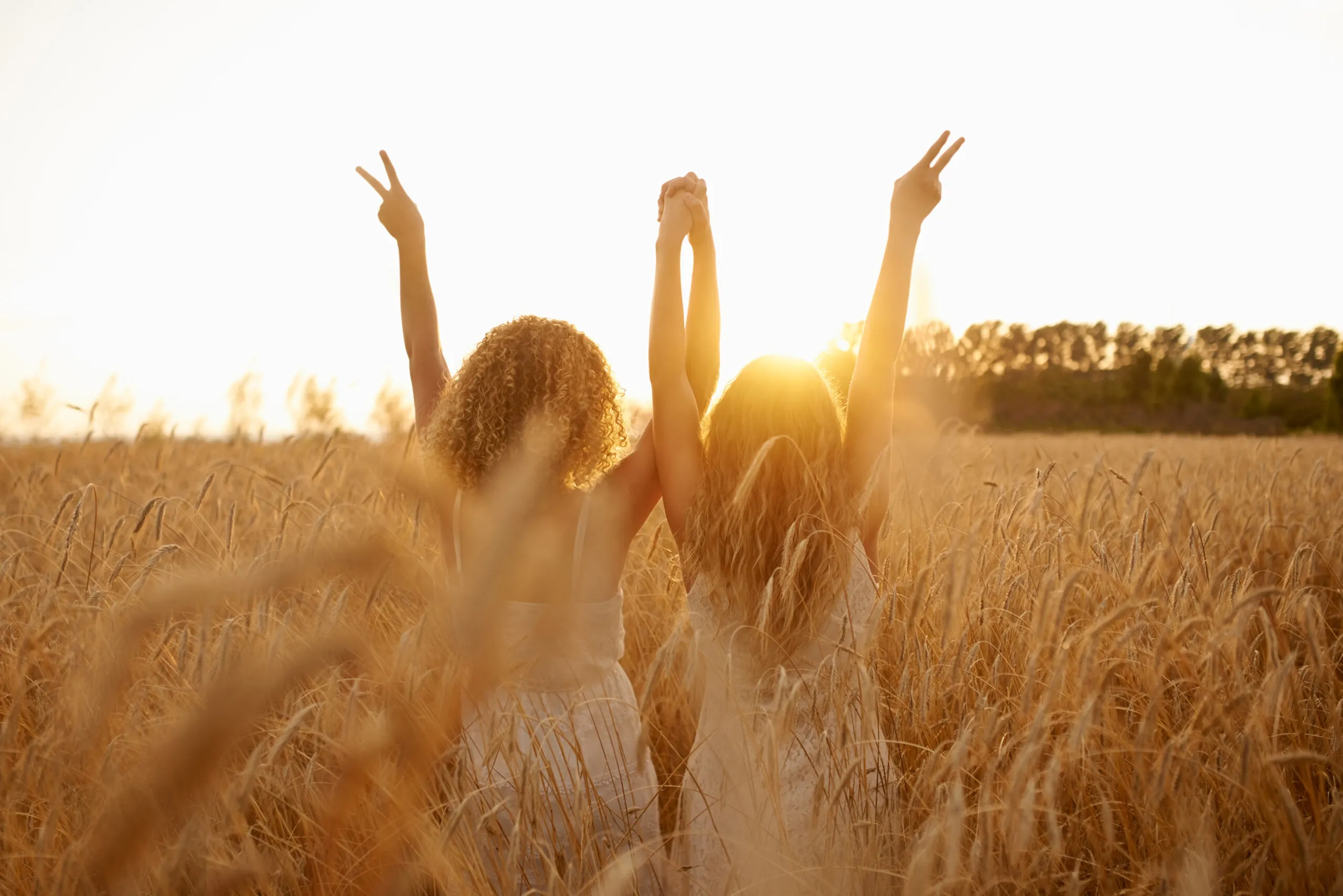 champ de blé avec filles