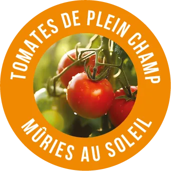 LOGO TOMATES DE PLEIN CHAMP